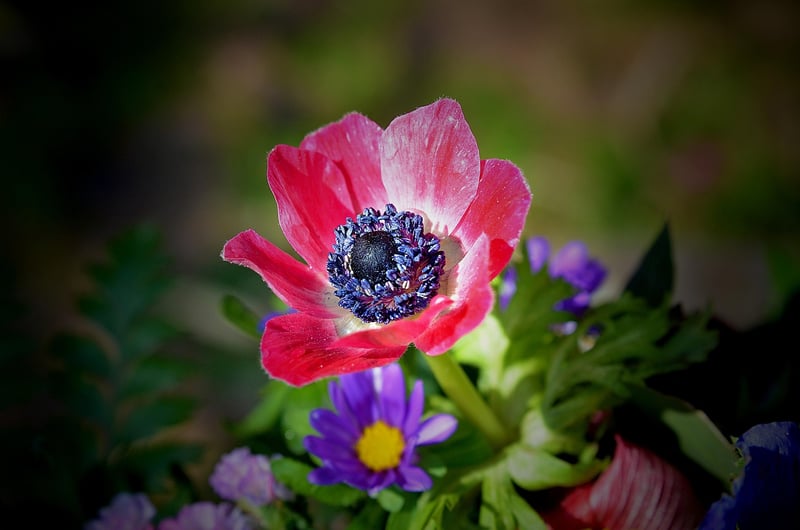 Springtime Delicacies